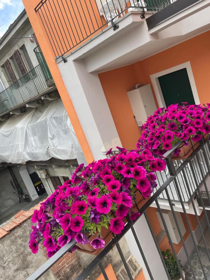 Residenza Nikol Διαμέρισμα Καζάλε Μονφερράτο Εξωτερικό φωτογραφία
